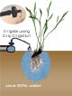 drip and micro irrigation systems