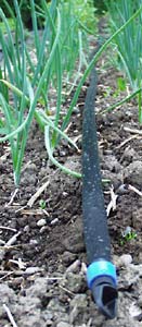 Good garden design starts with drip irrigation